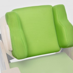 ZBI_413 Elastico cushion backrest